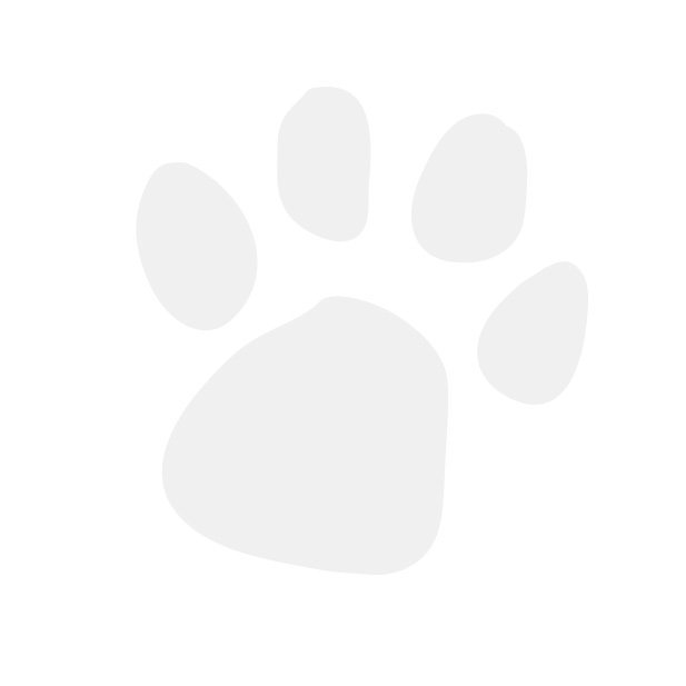 Harringtons Turkey Adult Wet Dog Food - Image 3