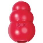 Kong Classic Dog Toy