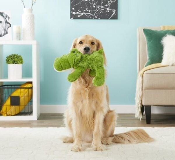 Kong Cozie Ali Alligator Dog Toy - Image 3