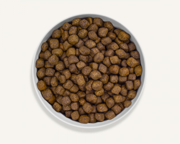 Canagan Free Run Turkey Dental Dogs Dry Food - Image 2
