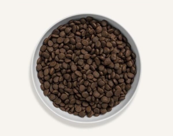 Canagan Scottish Salmon for Cats Dry Food - Image 3