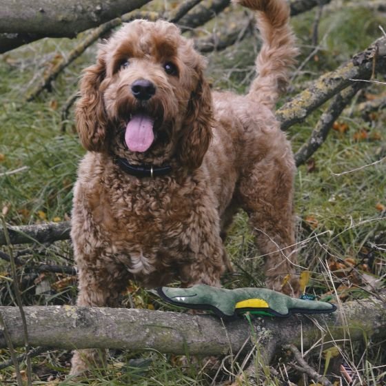 Beco Pets Rough & Tough Crocodile Recycled Dog Toy - Image 3