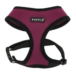 Frontier Superior Harness Purple Medium