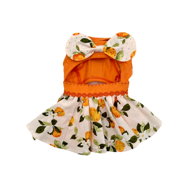 Coco Pets TUTU ORANGE- SML