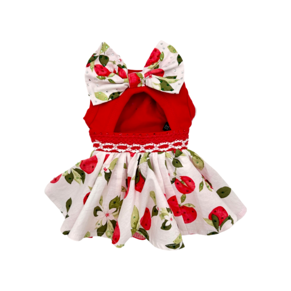 Coco Pets TUTU APPLE Dress- XSM