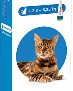 Bravecto for Cats 2.8 - 6.25 kg Spot-On 0.89ml