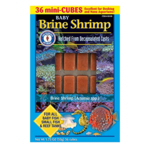 San Fransisco Bay Brand Brine Shrimp Frozen Cube 50g