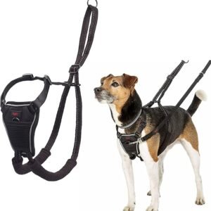COA Halti No Pull Harness Small