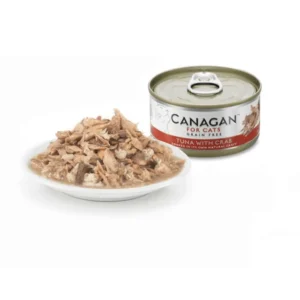 WET CAT FOOD