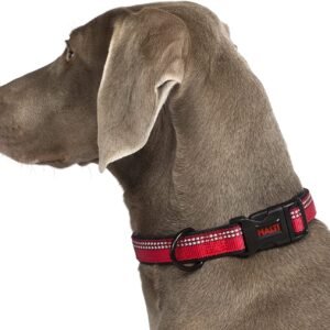 COA HC034 HALTI Collar Red Large