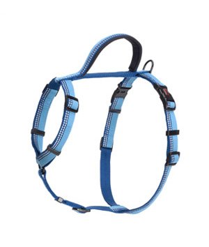 COA HW016 HALTI Walking Harness Blue Small