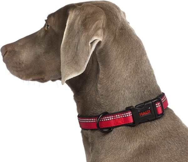 COA HC014 HALTI Collar Red Small