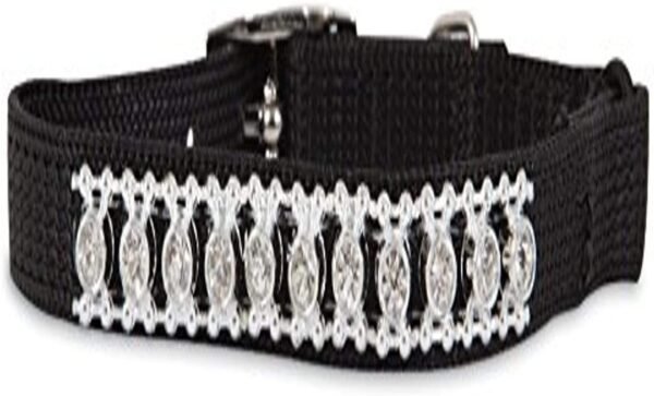 PETMATE ASPEN PET JEWEL CUSTOM FIT CAT COLLAR 3/8" x 8-10" BLACK
