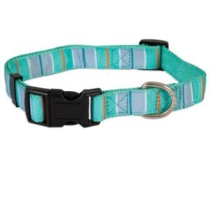 PETMATE ASPEN PET DOG COLLAR 3/4"X14-20" TEAL STRIPE