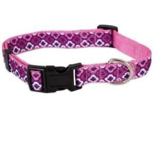 PETMATE ASPEN PET DOG COLLAR 1"X16-26" PURPLE GEO
