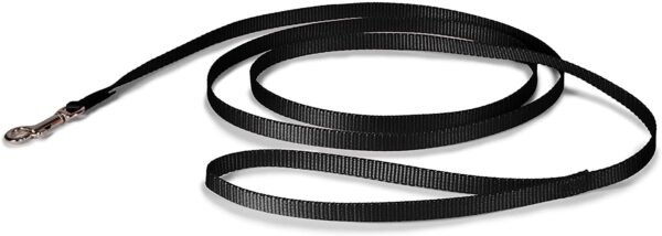 PETMATE NYLON DOG LEASH 1"X6' BLACK