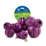 Pet Safe Busy Buddy Barnacle- Medium