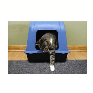 Dry Mate Charcoal Litter Trapping Mats 20 X 28 Inches