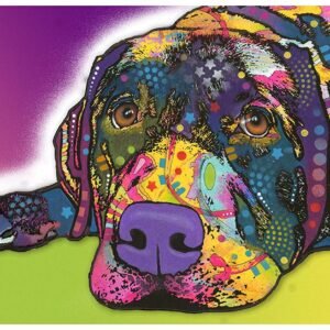 Dry Mate Placement Mats For Dogs Savvy Labrador 16 X 28 Inches