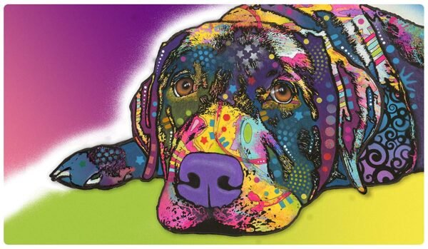 Dry Mate Placement Mats For Dogs Savvy Labrador 16 X 28 Inches