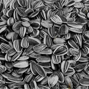 VADIGRAN Sunflower seed small striped 2,5 kg