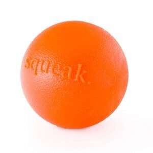 Planet Dog Squeak Ball Org