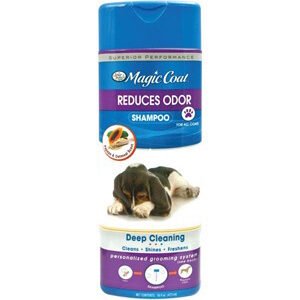 Four Paws Magic Coat Reduces Odor Shampoo for Dogs 16oz