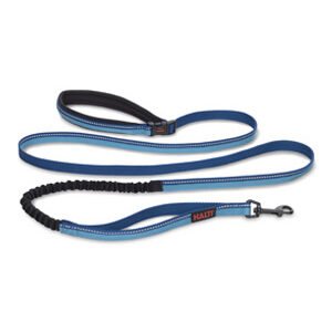 COA HA036 HALTI All-In-One Lead Blue Large