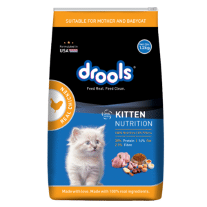 Drools Kitten Nutrition Real Chicken Kitten Dry Food 1.2Kg