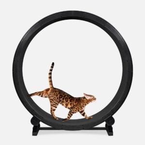 ONE FAST CAT Exercise Wheel 6th Generation for Cat