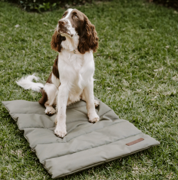 Huntlea Kalahari Travel Mat for Dogs - GREY/100X80CM