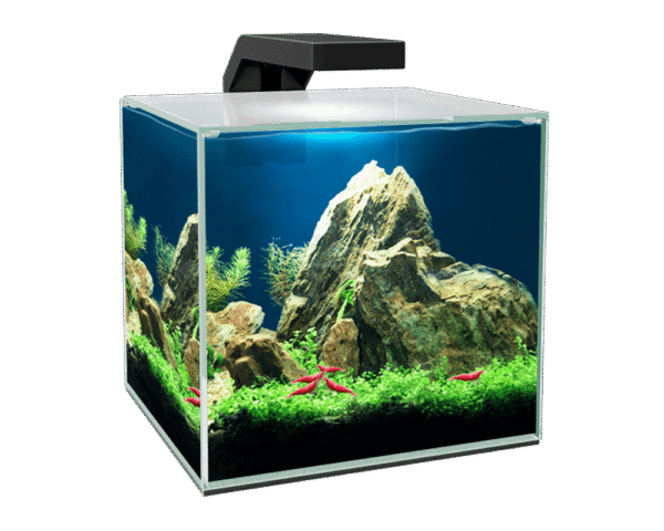 Ciano Cube 10 LED Glass Aquarium 9.5L With Filter