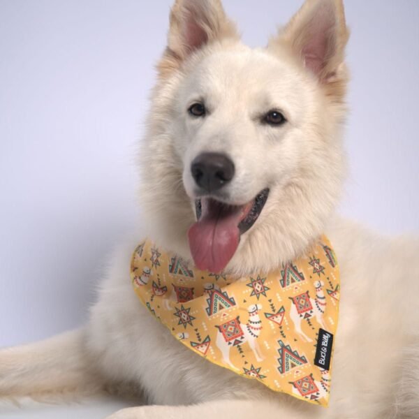 Bud & Billy Dog Bandana Handkerchiefs and Scarves (S, M, L) - Dune Desert Collection, Striking Yellow