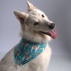 Bud & Billy Dog Bandana Handkerchiefs and Scarves (S, M, L) - Dunes Oasis Collection, Vibrant Blue