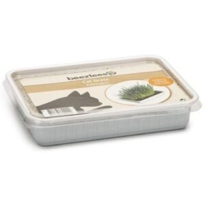 Beeztees Cat Grass in Plastic Box 130G