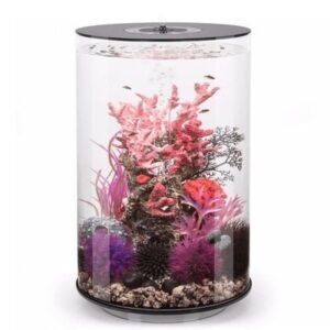 Katachi Lifestyle Takia Acrylic Home Tube Aquarium 25L With LED Lighting & Filter