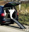 Trixie Folding Pet Ramp Model 39477 for Pets 39x160cm