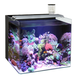 Ocean Free Nano Marine 4 Glass Aquarium 63L