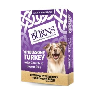 Burns Wholesome Turkey with Carrots and Brown Wet Dog Food