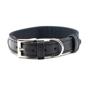 Project Blu Santorini Collar for Dogs