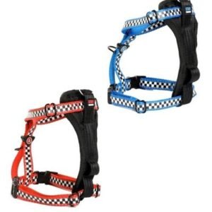 KIWI WALKER Racing Harness for Dogs