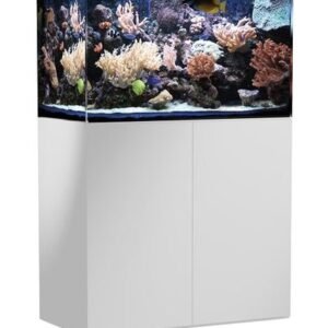 Aqua Medic Armatus 300 Aquarium 250L - Frameless Saltwater Aquarium With Under-Cabinet Filter System