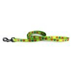 Omnipet Attitudz Pop Paws Leash 6ft