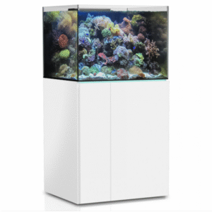 Aqua Medic Armatus 250 Aquarium 190L - Frameless Saltwater Aquarium With Under-Cabinet Filter System