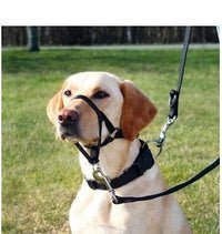 Trixie Top Trainer Headcollar for Dogs