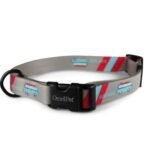Omnipet Attitudz Surfdog Collar