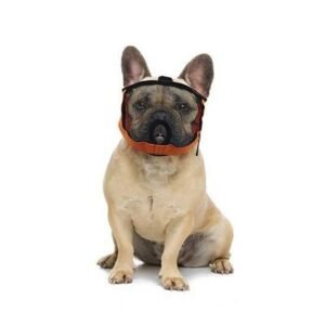 Chadog Diffusion Brachycephalic Muzzle for Dogs