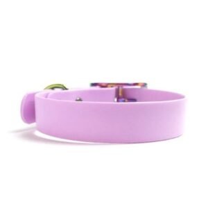 Howl & Growl Miami Sky with Brass Hardware Collar