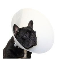 Trixie Protective Collar for Dogs