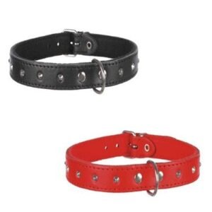 Trixie Basic Collar with Studs for Dogs